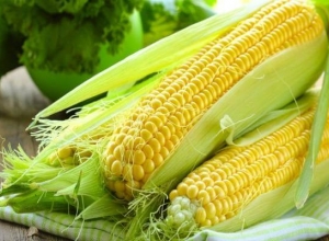 Hỏi đáp: Bệnh tiểu đường có ăn được ngô không?
